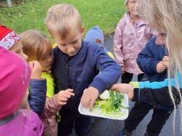 ZVONEČEK - ZÁŘÍ 1